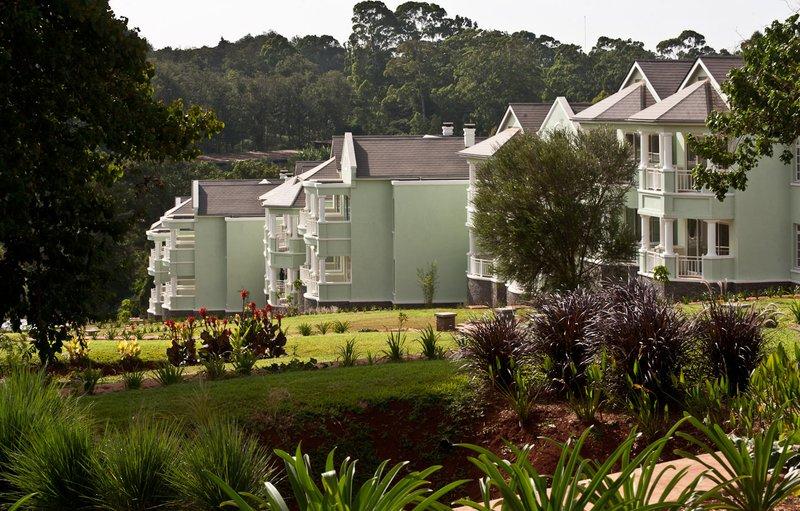 Hemingways 3*